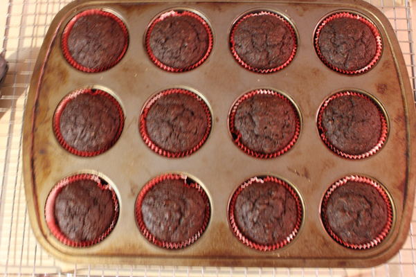 muffins baked in tin