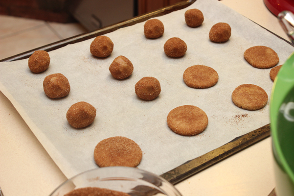 cookies in progress